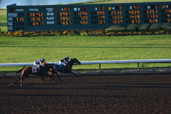 LosAl_Race_0085