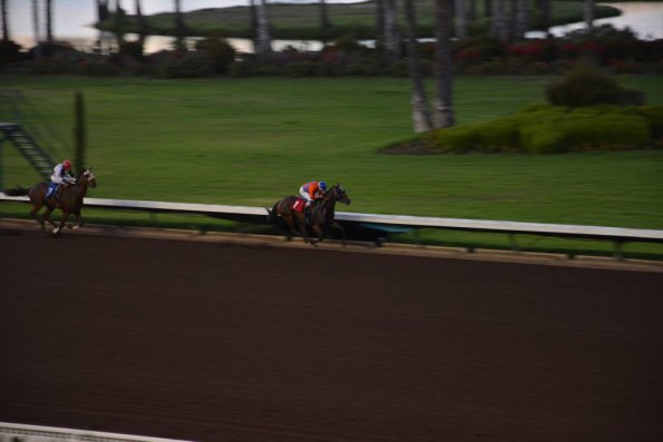 LosAl_Race_0119