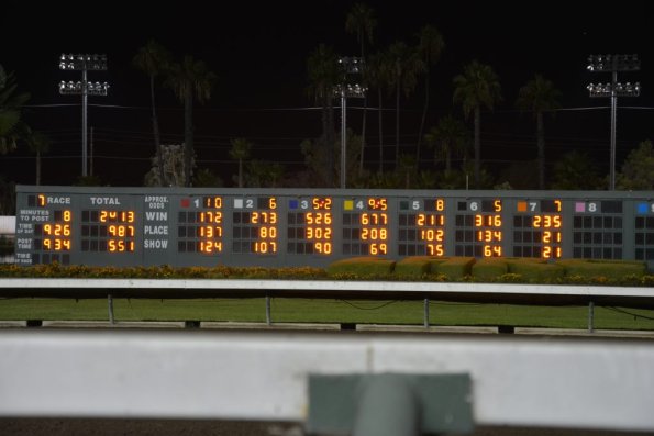 LosAl_Race_0153