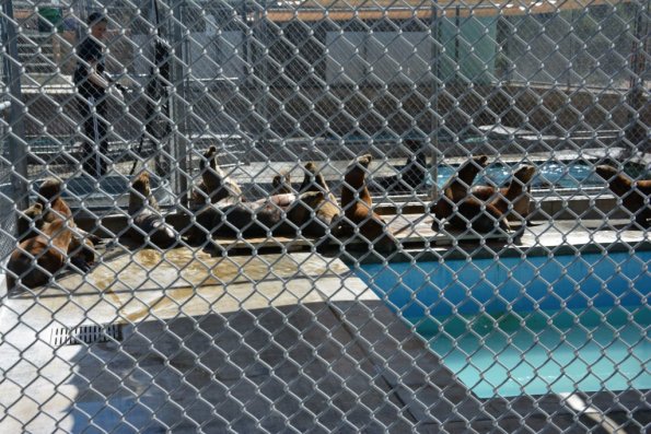 TourdSoCal_1_0031