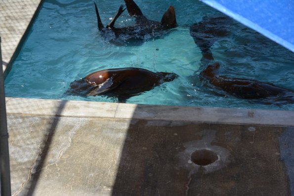 TourdSoCal_1_0039