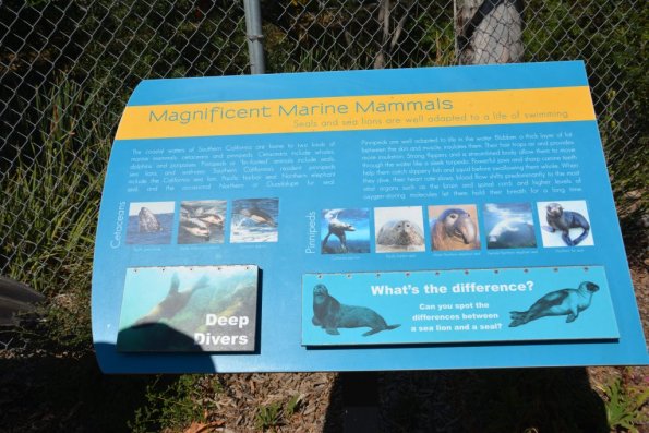 TourdSoCal_1_0077