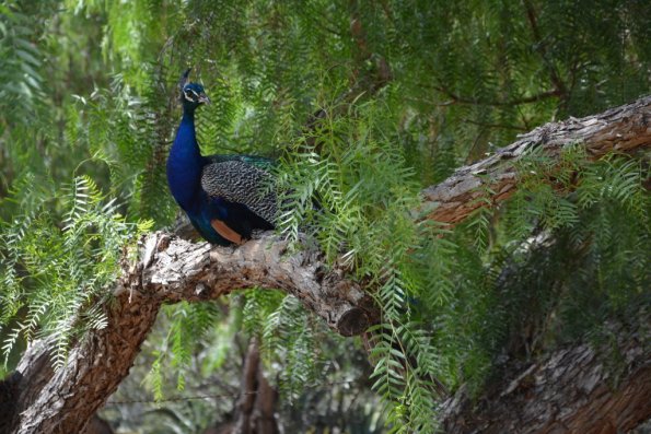 TourdSoCal_1_0192