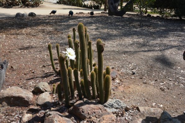 TourdSoCal_1_0211