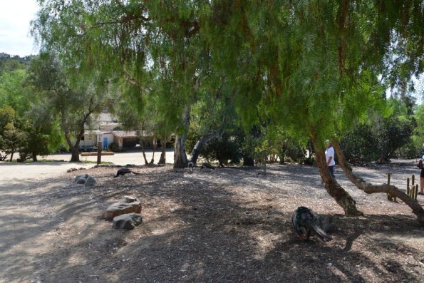 TourdSoCal_1_0213
