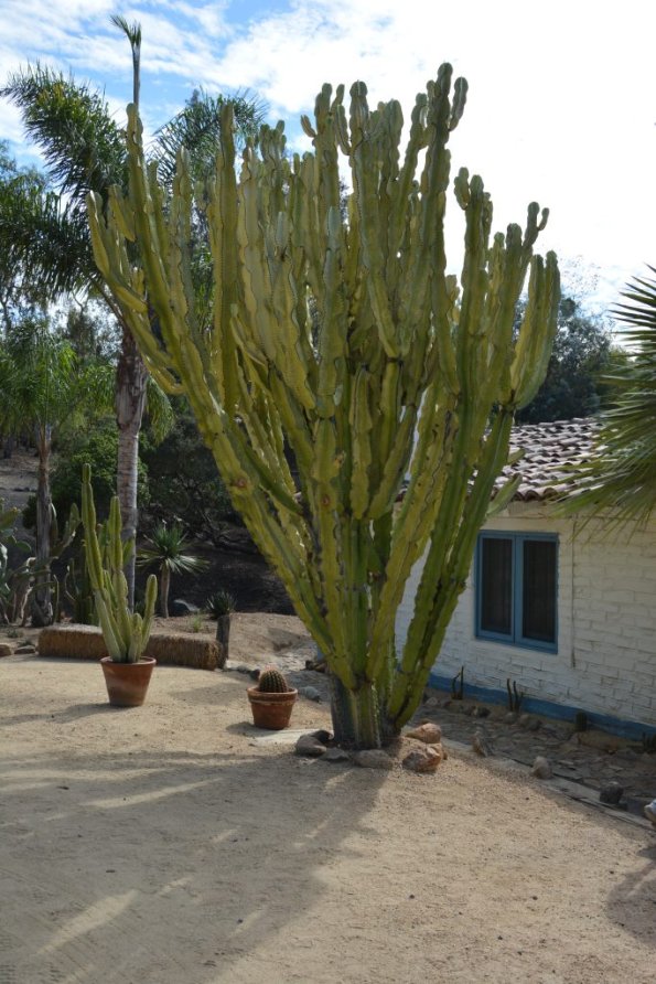 TourdSoCal_1_0267