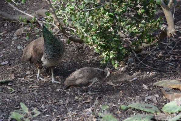 TourdSoCal_1_0300