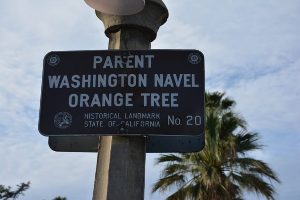 TourdSoCal_1_0510