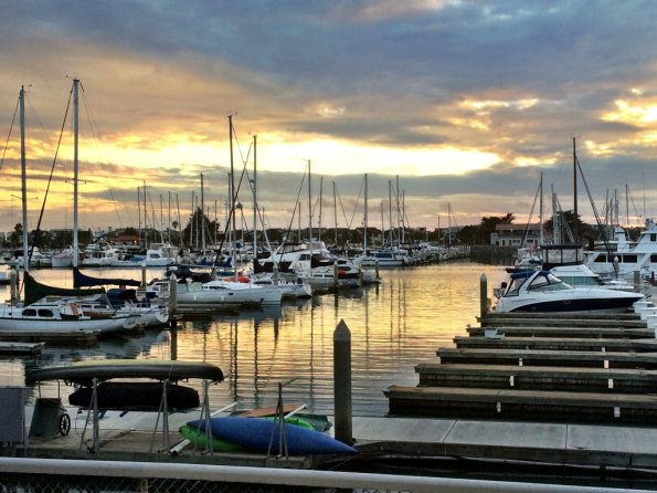 {"focusMode":0,"deviceTilt":0.01738491852814761,"whiteBalanceProgram":0,"macroEnabled":false,"qualityMode":3}