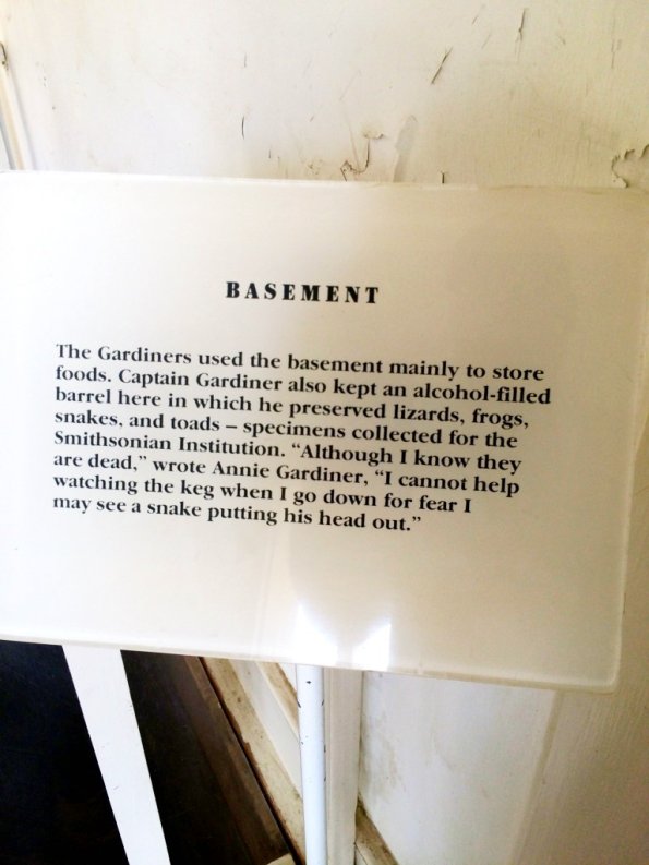 {"focusMode":1,"deviceTilt":0.03145913680526213,"whiteBalanceProgram":0,"macroEnabled":false,"qualityMode":3}