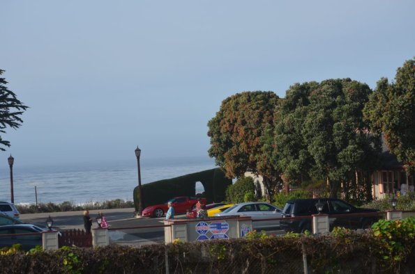 CambriaCN_0209
