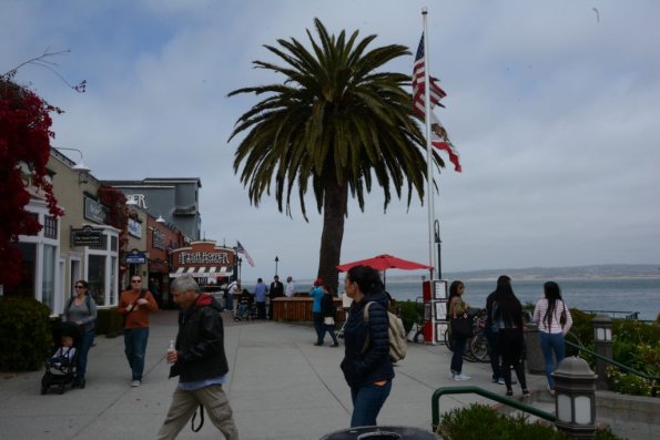 Monterey2016_0141