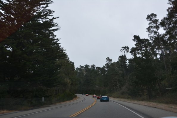 Cambria_0030