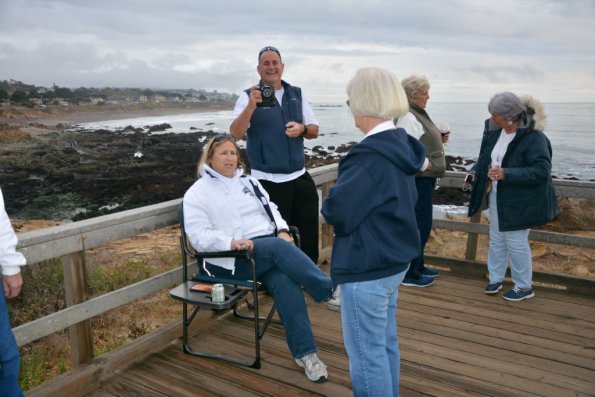 Cambria_0113