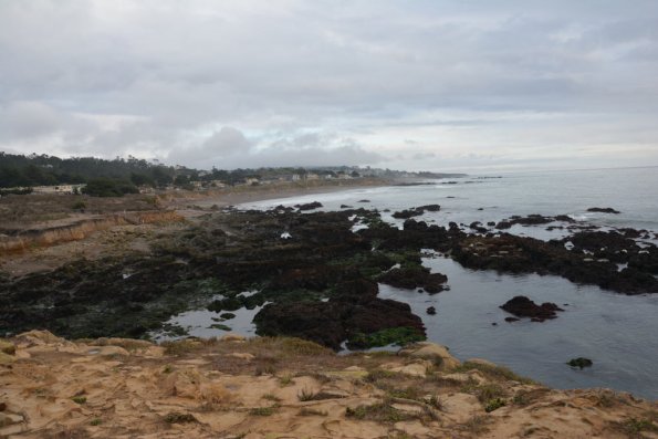 Cambria_0115
