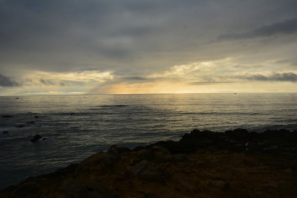 Cambria_0116