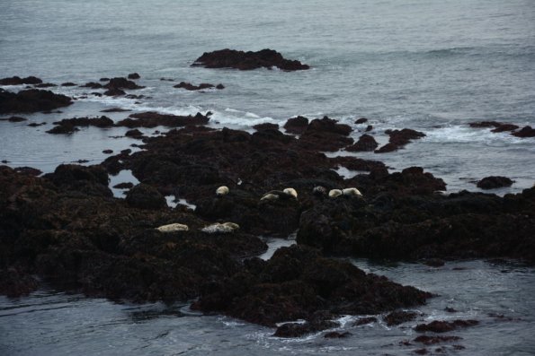 Cambria_0119