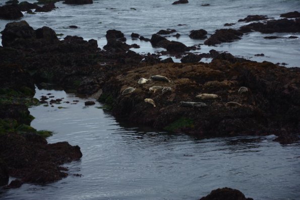 Cambria_0121