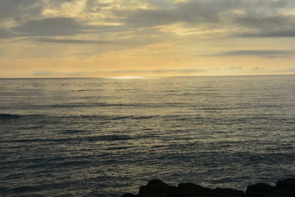 Cambria_0125