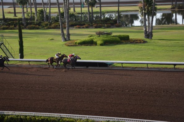 NightAtRaces_035
