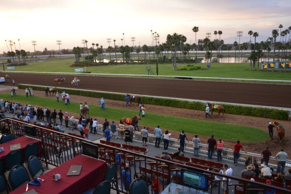 NightAtRaces_056