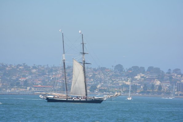 PlasticFantastic_039