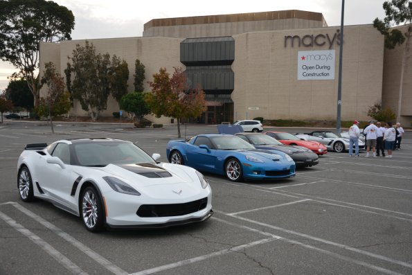 Vettes_Vets_0001
