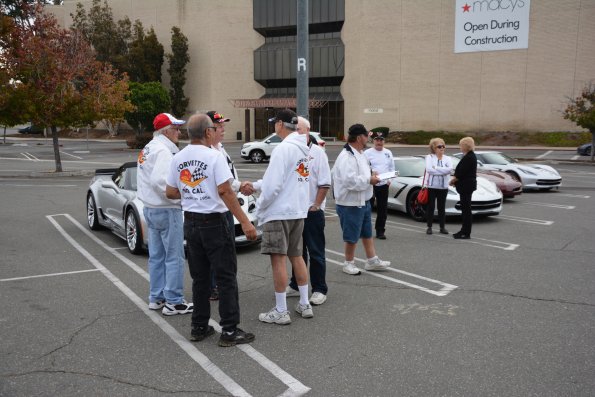 Vettes_Vets_0002
