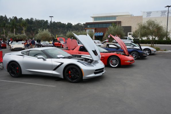 Vettes_Vets_0005
