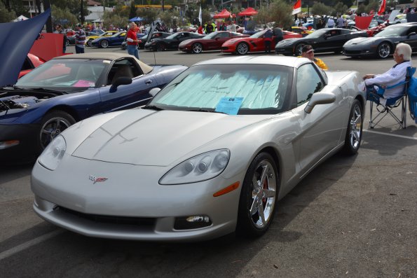Vettes_Vets_0007