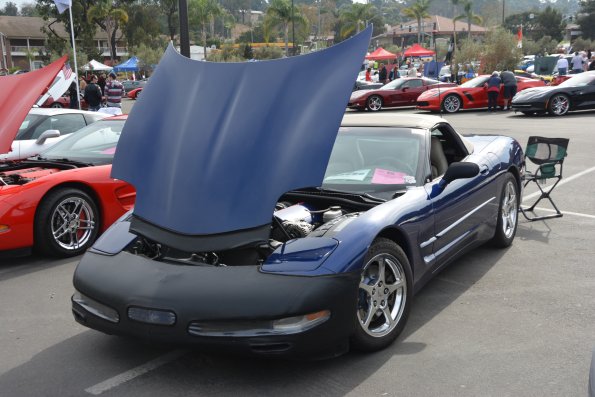Vettes_Vets_0008