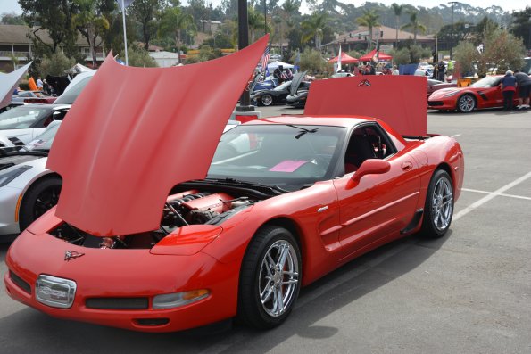 Vettes_Vets_0009