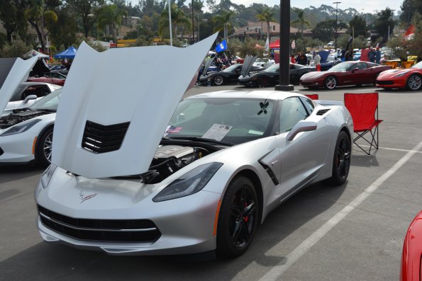 Vettes_Vets_0010