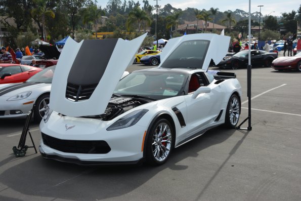 Vettes_Vets_0011