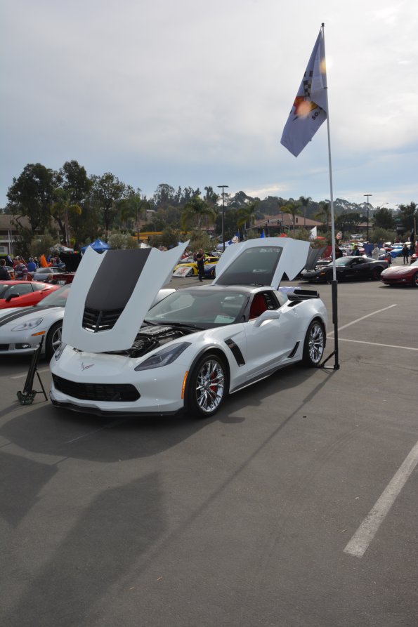 Vettes_Vets_0012