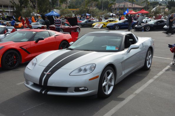 Vettes_Vets_0013