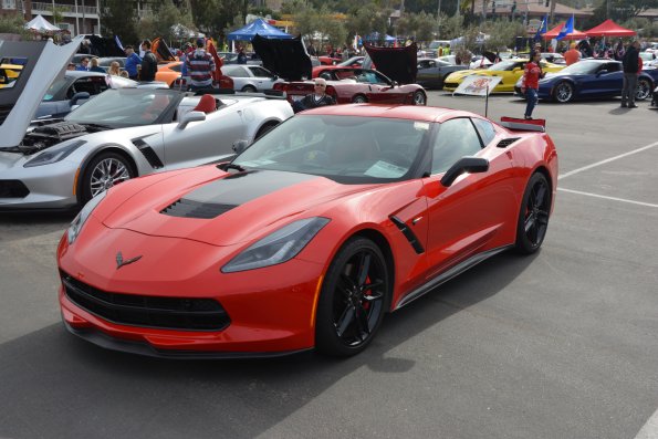 Vettes_Vets_0014