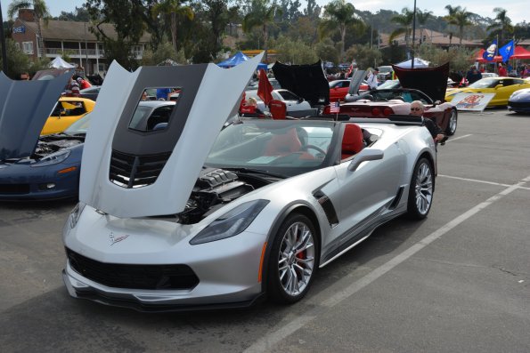 Vettes_Vets_0015