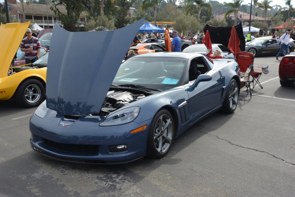 Vettes_Vets_0016