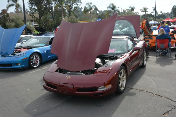 Vettes_Vets_0017