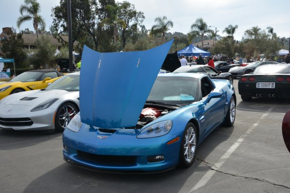 Vettes_Vets_0018
