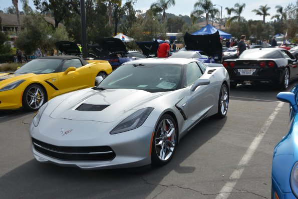 Vettes_Vets_0019