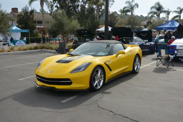 Vettes_Vets_0020