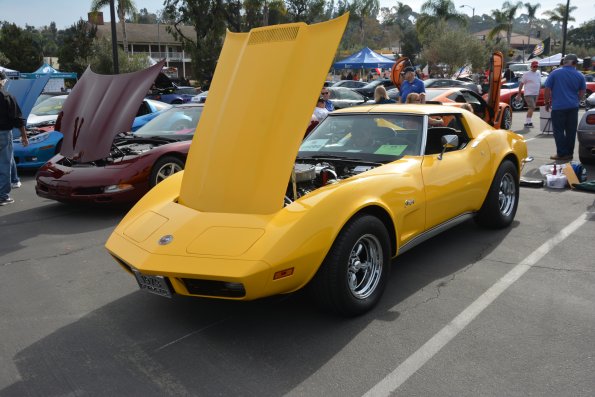 Vettes_Vets_0021