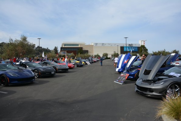 Vettes_Vets_0022