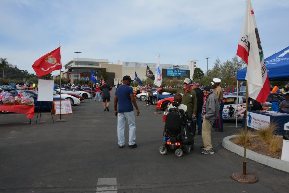 Vettes_Vets_0024