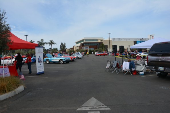 Vettes_Vets_0026