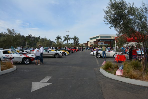 Vettes_Vets_0027
