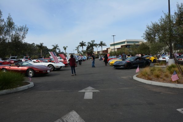 Vettes_Vets_0028