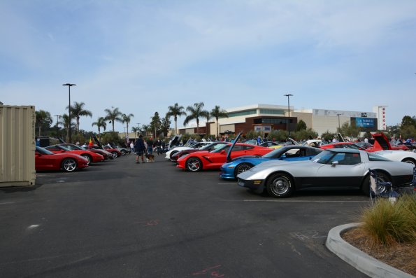 Vettes_Vets_0029